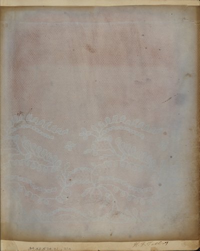 Disegno fotogenico di un frammento di pizzo da William Henry Fox Talbot